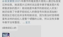 娱乐圈的瓜真实爆料文件,揭秘真实事件背后的真相